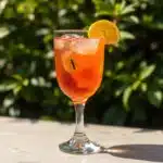 5 Astonishing Ways to Enhance Your Mosquito Bite Drink Experience! 8 mosquito bite